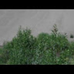 Meet your Posher, Derek